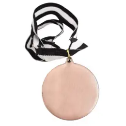 Iron Medal & Ribbon Bronze Back